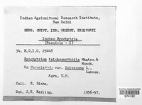 Image Associated With the Occurence